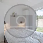 Pet Friendly In With Wifi * Glesborg